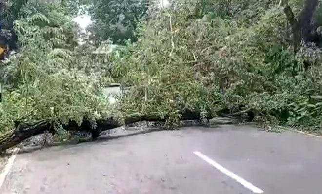 গোপালগঞ্জে সারাদিন যা ঘটলো?