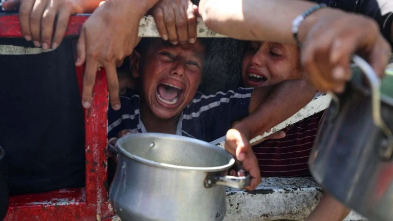 গাজায় দুর্ভিক্ষ স্বীকার করলো জাতিসংঘ | ভাইরাল ৩ আপডেট