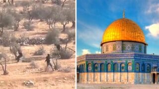 যুদ্ধ থেমে গেলেও থামেনি ইসরায়েলের দখলদারিতা