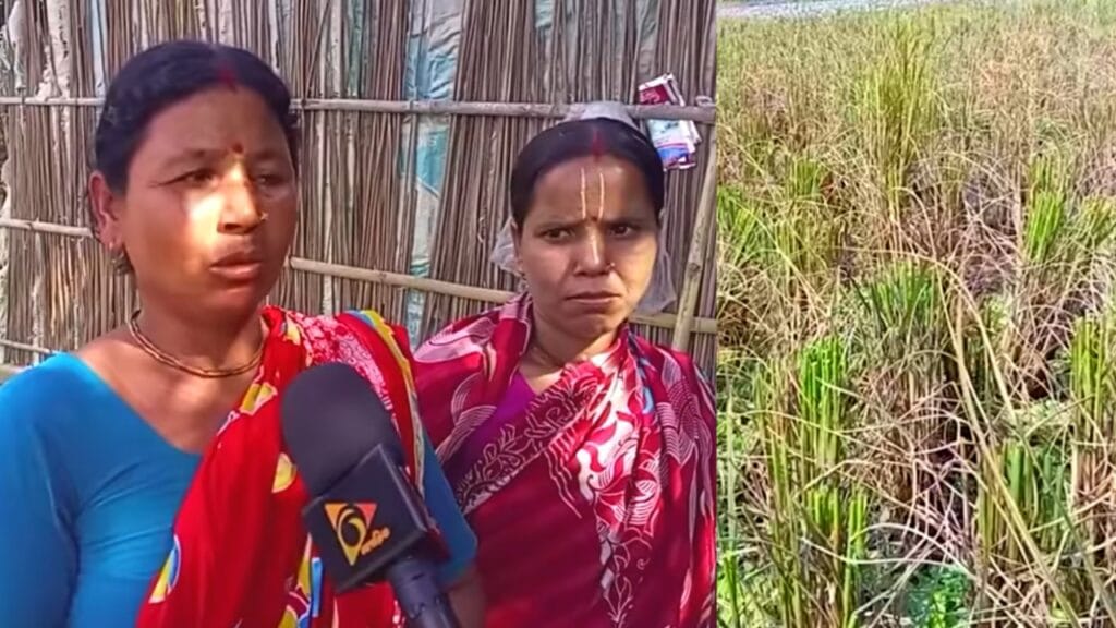 সংখ্যালগুদের জমি দখল করলো বিএনপি