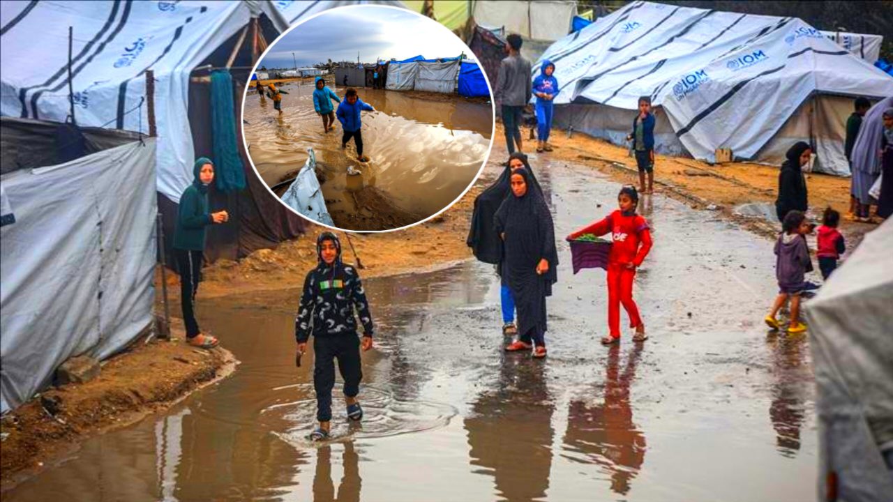 প্রাকৃতিক দুর্যোগে দিশেহারা ফিলিস্তিন!